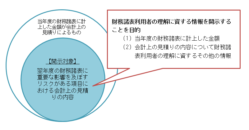 当年度の財務諸表に計上した金額が会計上の見積りによるもの／【開示対象】 翌年度の財務諸表に重要な影響を及ぼすリスクがある項目における会計上の見積りの内容